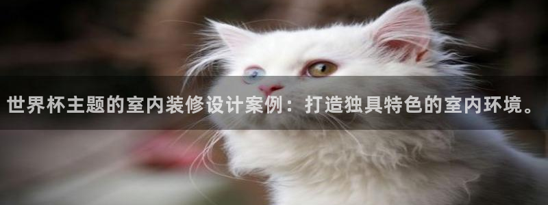 2026世界杯买球:世界杯主题的室内装修设计案例:打造独具特色的室内环境。