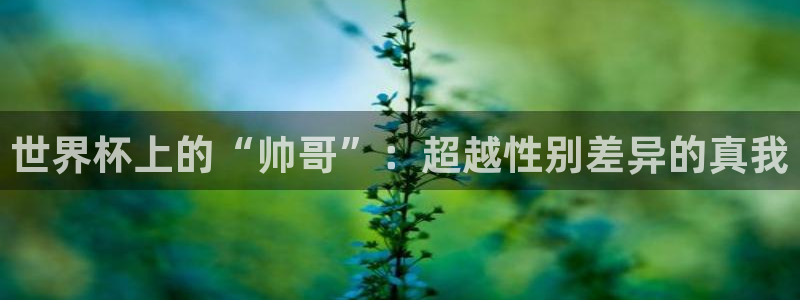 世界杯预选赛欧洲区赛程:世界杯上的“帅哥”:超越性别差异的真我