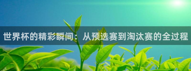 国际足联世界杯:世界杯的精彩瞬间:从预选赛到淘汰赛的全过程