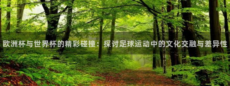 足球世界杯:欧洲杯与世界杯的精彩碰撞:探讨足球运动中的文化交融与差异性