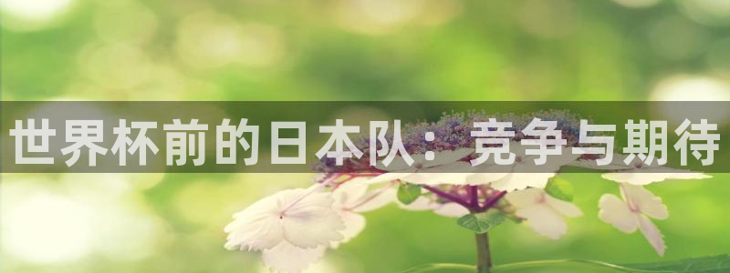 今年世界杯:世界杯前的日本队:竞争与期待