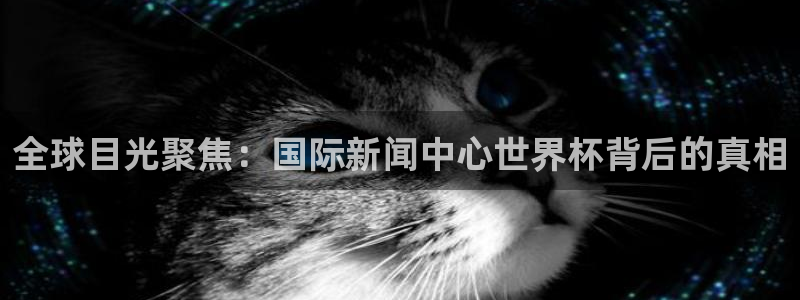 世界杯球赛:全球目光聚焦:国际新闻中心世界杯背后的真相