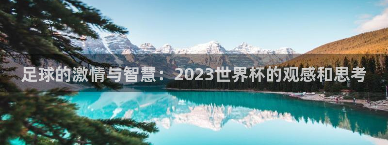 2026年足球世界杯赛程时间表:足球的激情与智慧:2023世界杯的观感和思考